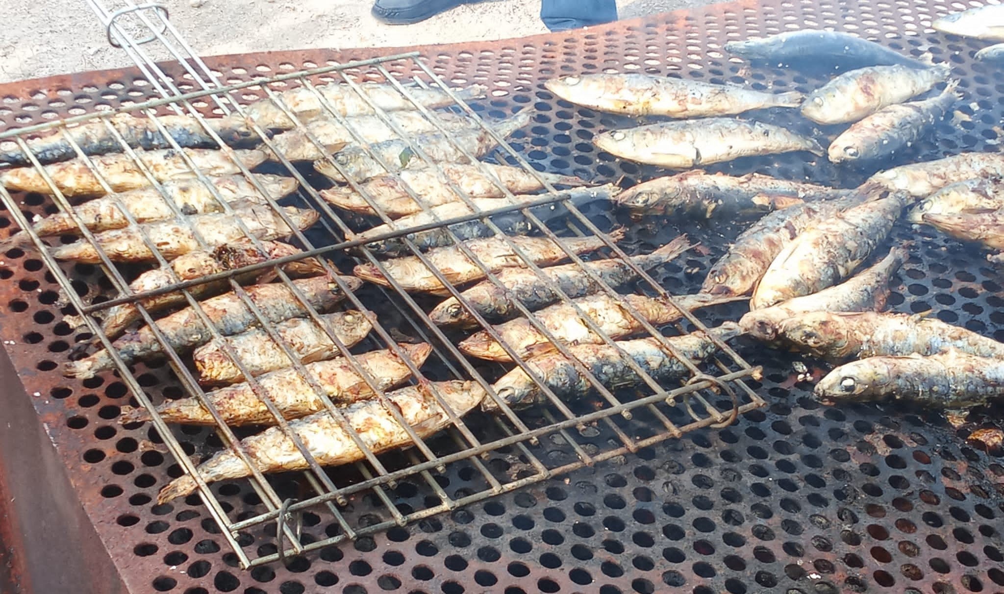 Freguesia de Aguas Belas